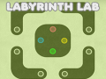 Hry Labyrinth Lab