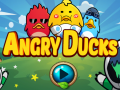 Hry Angry Ducks