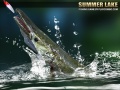 Hry Summer Lake 1.5