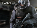 Hry Flashpoint