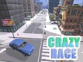 Hry Crazy Race