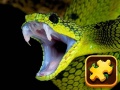 Hry Snake Puzzle Challenge