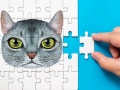 Hry Abyssinian Puzzle Challenge