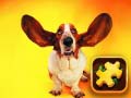 Hry Funny Dogs Puzzle