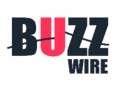 Hry Buzz Wire