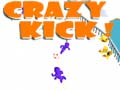 Hry Crazy Kick!