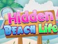 Hry Hidden Beach Life