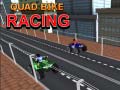 Hry Quad Bike Racing