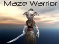 Hry Maze Warrior