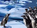 Hry Penguins Slide