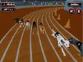 Hry Crazyl Dog Racing Fever