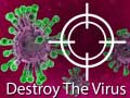 Hry Destroy The Virus