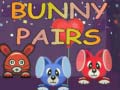Hry Bunny Pairs