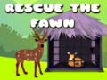 Hry Rescue the fawn