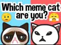 Hry Which Meme Cat Are You?