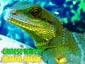 Hry Chinese Water Dragon Jigsaw