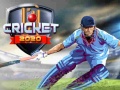 Hry Cricket 2020