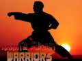 Hry Karate Sunset Warriors