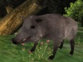 Hry Wild boar Hunting