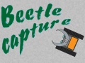 Hry Beetle Capture