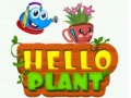 Hry Hello Plant 