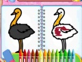 Hry Coloring Birds Game