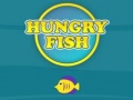 Hry Hungry Fish