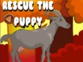 Hry Rescue The Puppy