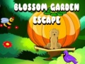 Hry Blossom Garden Escape