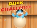 Hry Duck Challenge