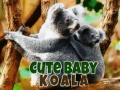 Hry Cute Baby Koala Bear