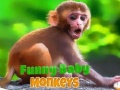 Hry Funny Baby Monkey