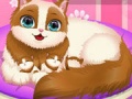 Hry Cute Kitty Pregnant