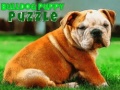 Hry Bulldog Puppy Puzzle