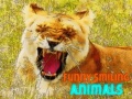 Hry Funny Smiling Animals