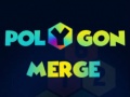 Hry Polygon Merge