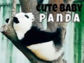 Hry Cute Baby Panda