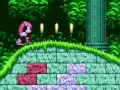 Hry Mighty & Ray In Sonic 2