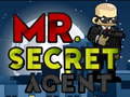 Hry Mr Secret Agent