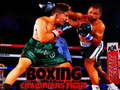 Hry Boxing Champions Fight