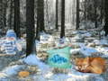 Hry Winter Wonderland Forest Adventure