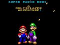 Hry Super Mario Bros: A Multiplayer Adventure