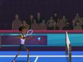 Hry Badminton Brawl