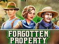 Hry Forgotten Property