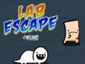 Hry Lab Escape Online