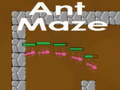 Hry Ant maze