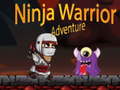 Hry Ninja Warrior Adventure