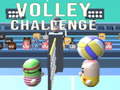Hry Volley Challenge