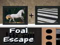 Hry Foal Escape