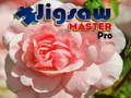 Hry Jigsaw Master Pro